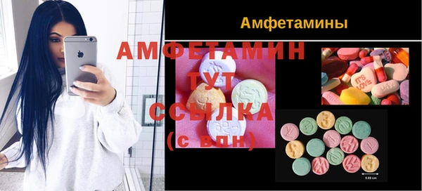 прущие грибы Михайловка