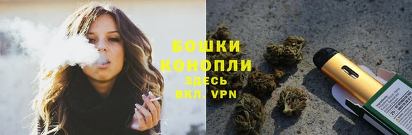 прущие грибы Михайловка