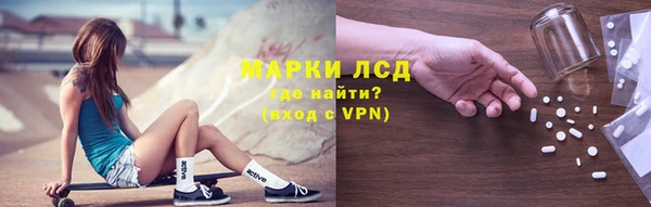 прущие грибы Михайловка