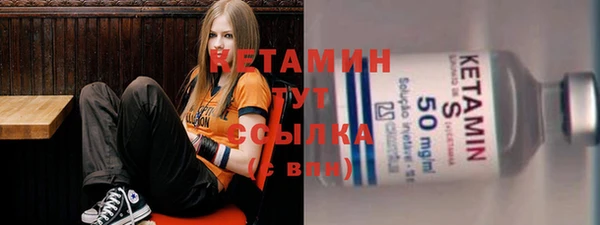 индика Надым