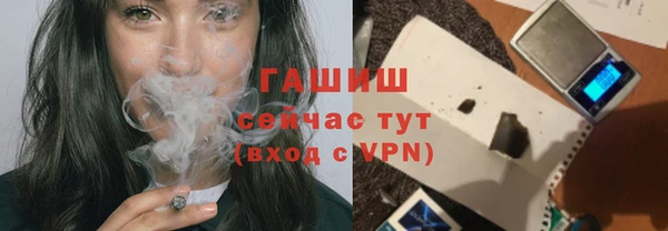 индика Надым