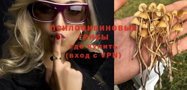 соль курить ск Михайлов