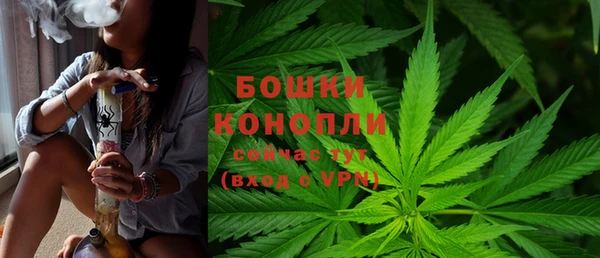 кокс Алагир