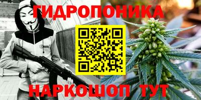 тгк Гусь-Хрустальный
